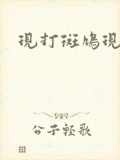 现打斑鸠现钳毛