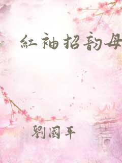 红袖招韵母攻略