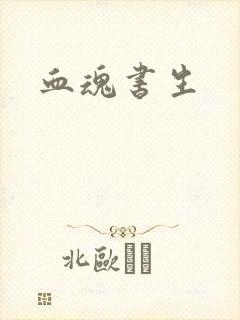 血魂书生