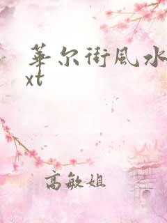 华尔街风水师txt