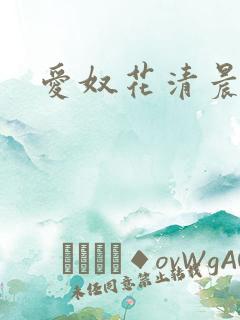 爱奴花清晨