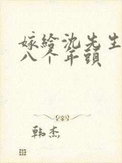 嫁给沈先生的第八个年头