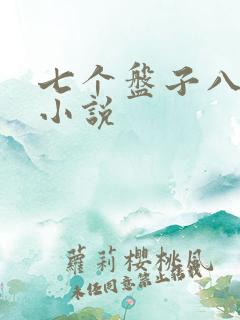 七个盘子八个碗小说