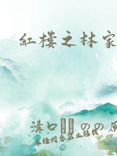 红楼之林家媳妇