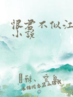 恨君不似江楼月小说