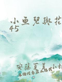 小鱼儿与花无缺45
