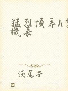 猛烈顶弄h禁欲机长