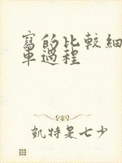 写的比较细的开车过程