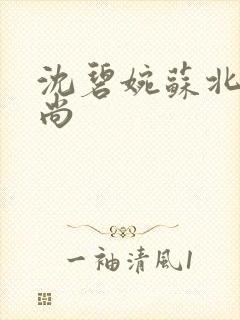 沈碧婉苏北宸和尚