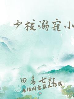 少校溺宠小小妻