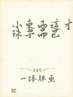 小东西这才一颗珠子而已