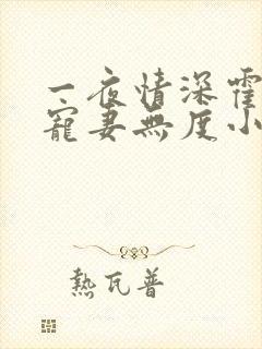 一夜情深霍先生宠妻无度小说免费阅读