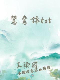 鸳鸯锦txt