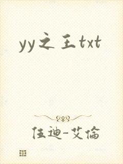 yy之王txt