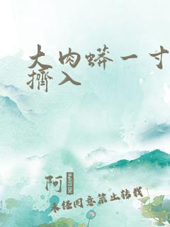 大肉蟒一寸一寸挤入