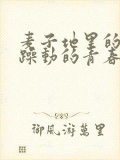 麦子地里的故事躁动的青春小说