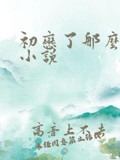 初恋了那么多年小说