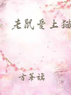 老鼠爱上猫下载