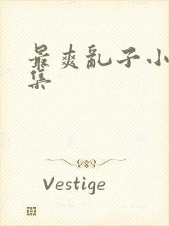 最爽乱子小说合集