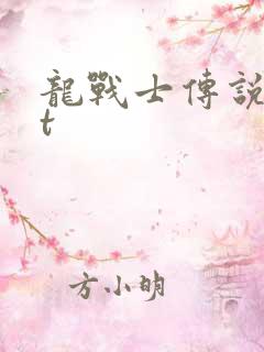 龙战士传说txt