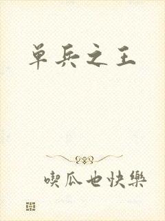 单兵之王