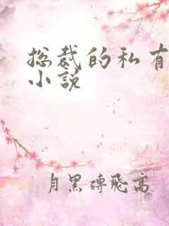 总裁的私有宝贝小说