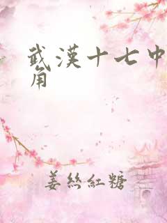 武汉十七中女主角