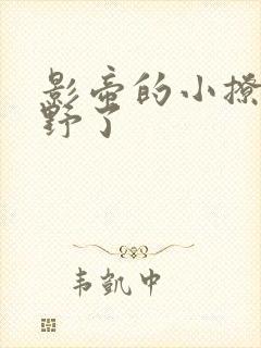 影帝的小撩精太野了