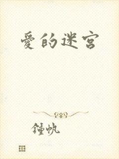 爱的迷宫