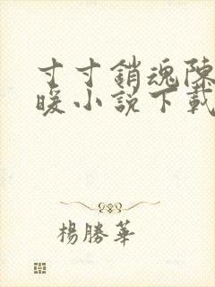 寸寸销魂陈聪王暖小说下载