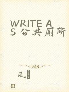 WRITE AS 公共厕所