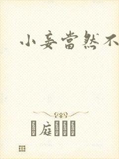 小妾当然不如妻