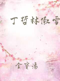 丁哲林傲雪小说