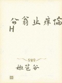 公翁止痒伦理DH