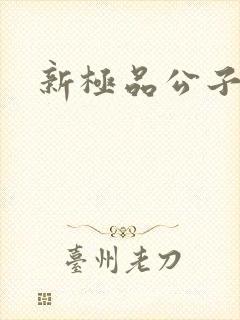 新极品公子