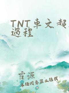 TNT车文超细过程