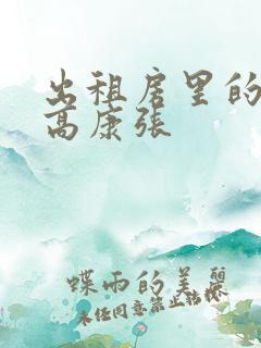 出租房里的交互高康张