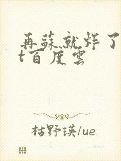 再苏就炸了txt百度云