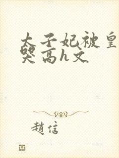 太子妃被皇上c哭高h文