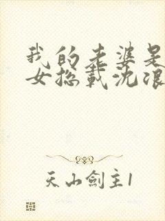 我的老婆是冰山女总载沈浪