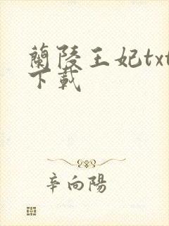 兰陵王妃txt下载