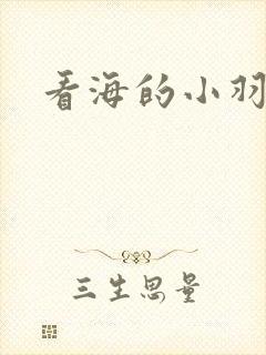 看海的小羽