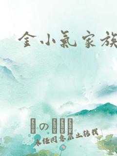 金小气家族小说