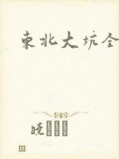 东北大坑全集