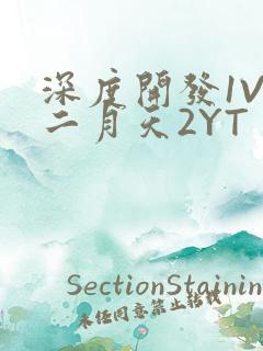 深度开发1V3二月天2YT