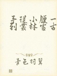 手从小腹一路开到丛林处古代