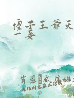 傻子王爷天下第一妾