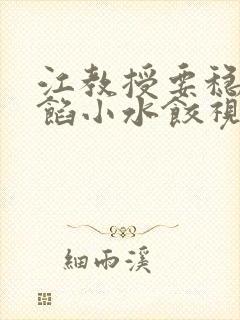 江教授要稳住肉馅小水饺视频