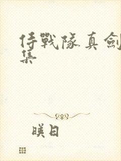 侍战队真剑者全集