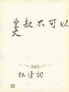 皇叔不可以 太大